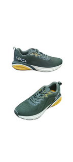 Campus Sport Shoes Painter