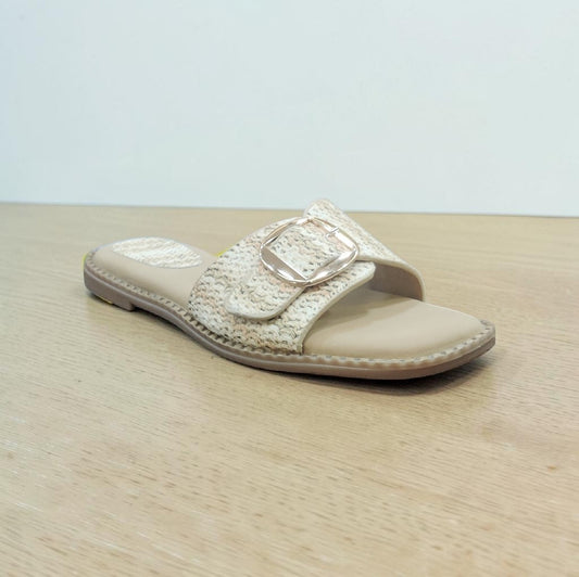 Women Slipper OLI2119