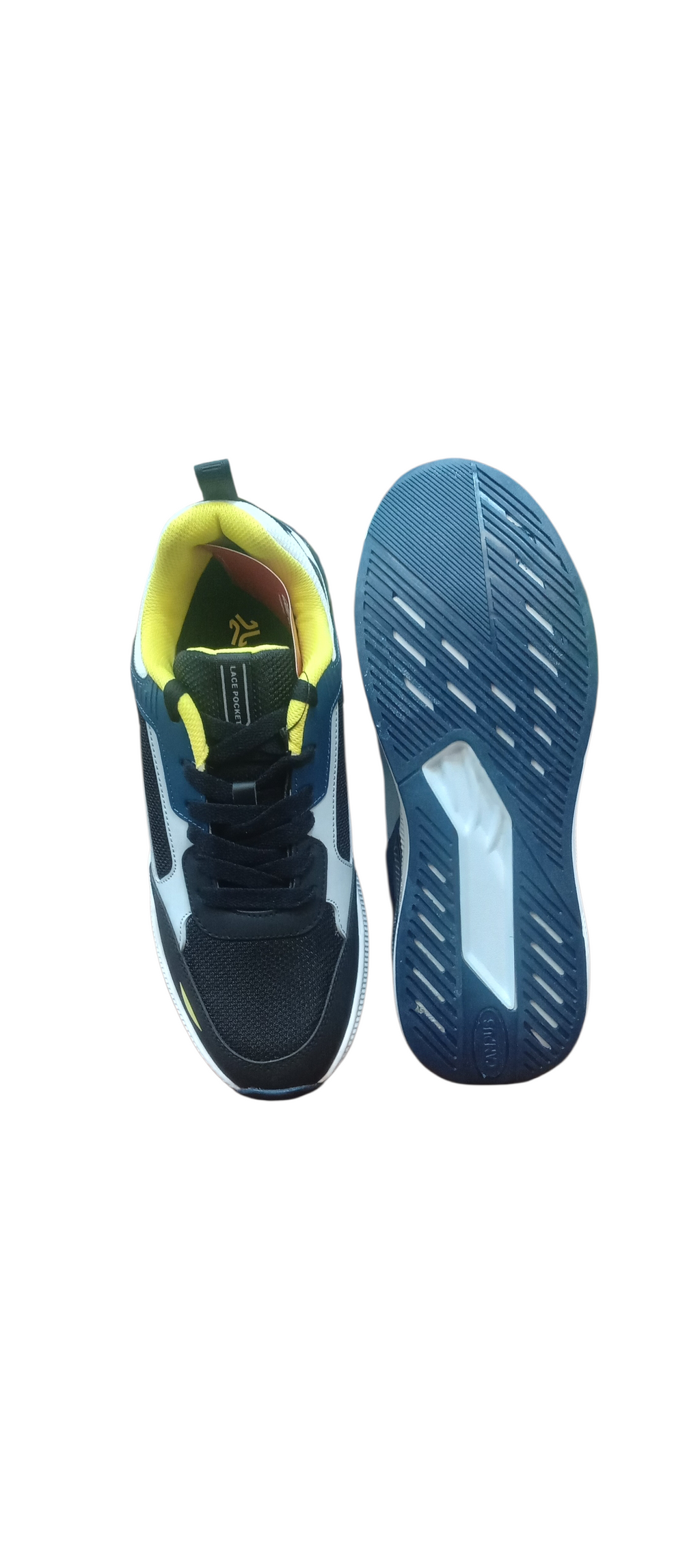 Campus Sneaker Cove